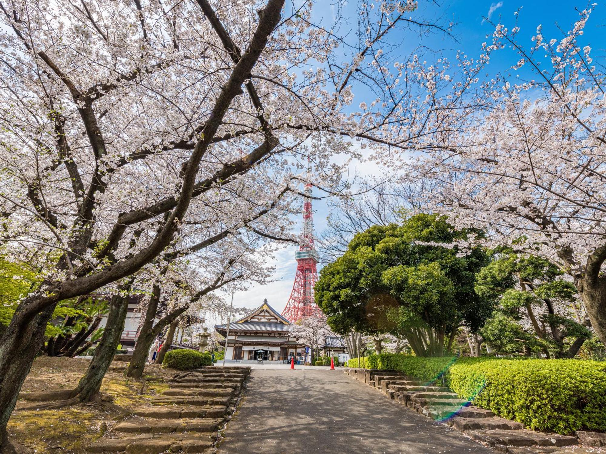 Illi Surp Shiba-park Hotell